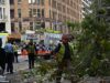 Duas pessoas foram esmagadas por uma árvore que caiu no Hyde Park, em Sydney